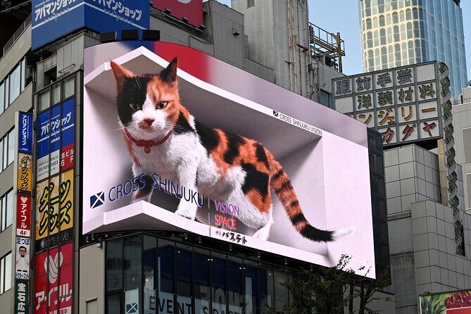 Shinjuku Highlights Walking Tour - Key Points