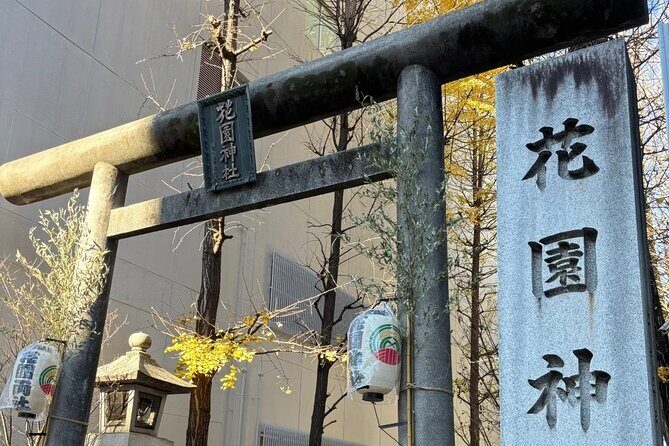 Shinjuku Highlights Walking Tour - Final Thoughts: Is This Tour Worth It?