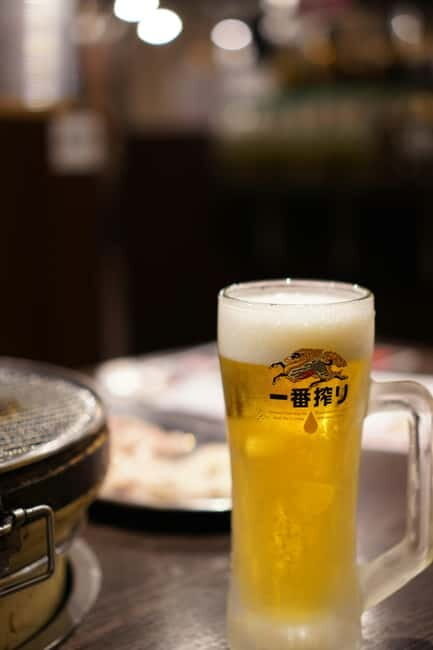 Shinjuku: Izakaya and Pub Crawl - Final Thoughts