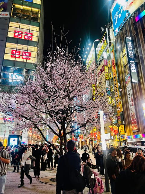 shinjuku-kabukicho-golden-gai-night-tour