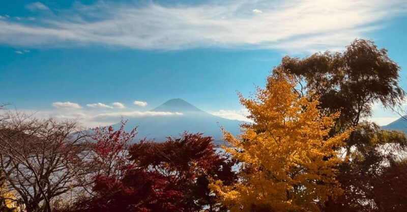 shinjuku-mount-fuji-panoramic-view-and-shopping-day-tour