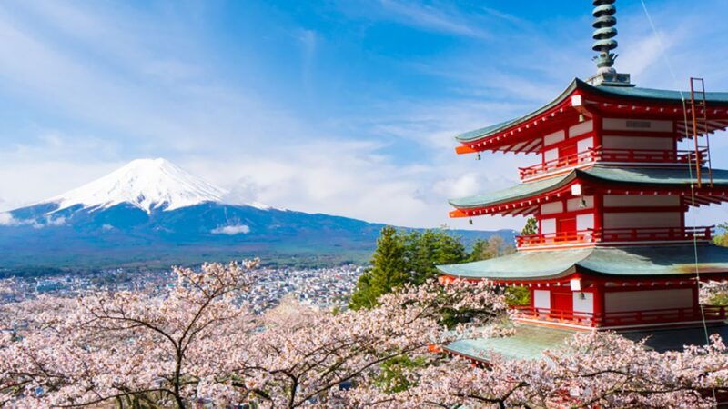 shinjuku-mount-fuji-panoramic-view-and-shopping-day-tour