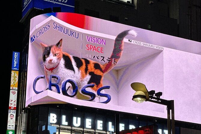 Shinjuku Retro 90s Izakaya and Modern Bar Tour - Who Will Love This Tour?