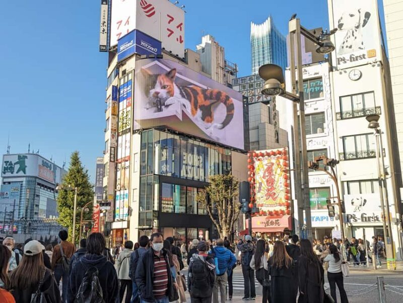Shinjuku: Tokyo in High Definition - Walking Tour - FAQ