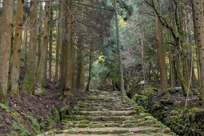 shinrinyoku-explore-the-historic-sites-of-shugendo-culture