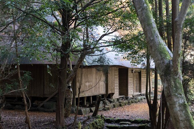 shinrinyoku-explore-the-historic-sites-of-shugendo-culture
