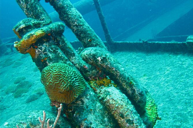 shipwreck-snorkel-in-bermuda