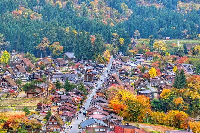 shiragawa-go-hida-takayama-unesco-full-day-tour-from-nagoya