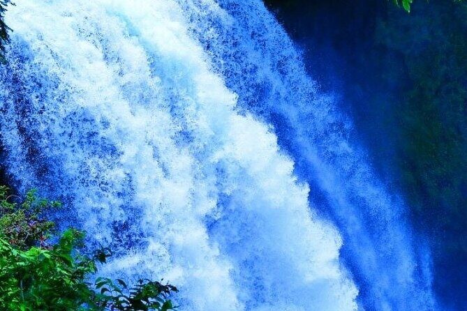 Shiraito Falls, Sengen Taisha, World Heritage Centre Guided Van - Exploring Shizuoka’s Natural and Cultural Gems