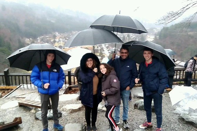 shirakawago-all-must-sees-private-chauffeur-tour-with-a-driver-takayama-dep