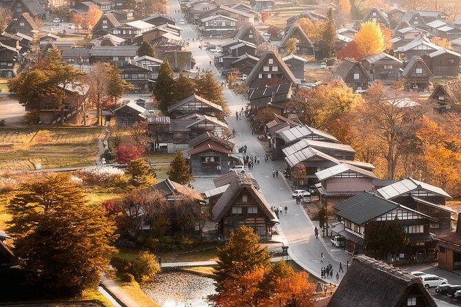 shirakawago-and-takayama-bus-tour-from-nagoya