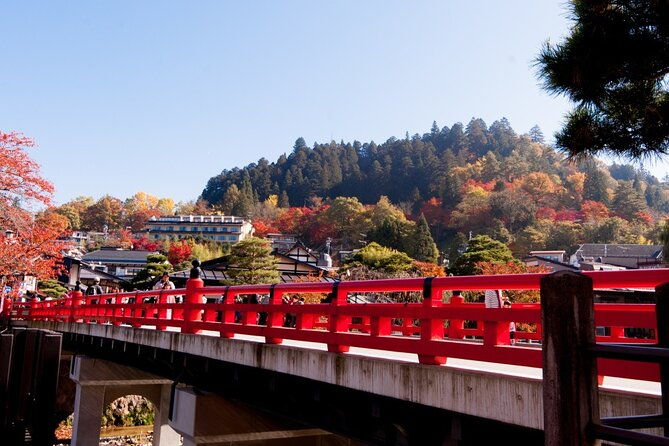shirakawago-and-takayama-bus-tour-from-nagoya
