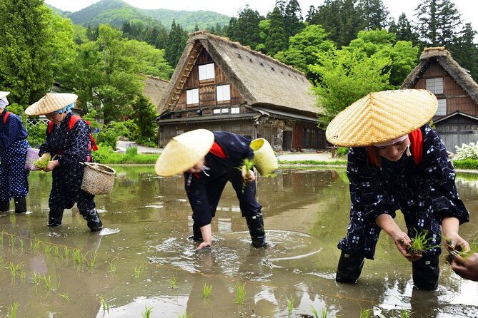 shirakawago-day-trip-government-licensed-guide-vehicle-from-takayama