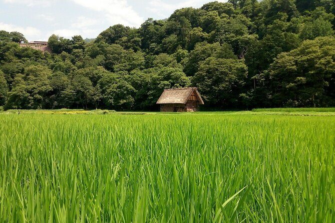 Shirakawago & Kanazawa from Kyoto by bullet train - FAQ