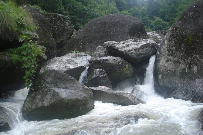 Shivapuri National Park Day Hiking - Budanilkantha, Nagi Gumba, Sundarijal Hike - Authentic Experiences & Review Insights