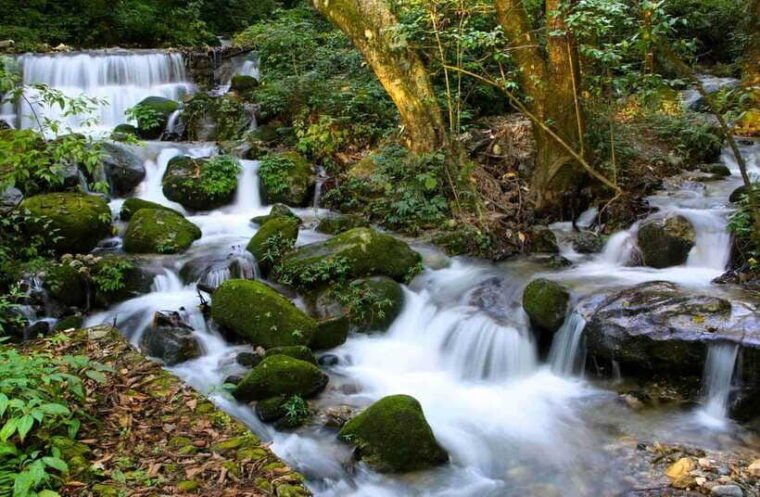 shivapuri-national-park-hike-scenic-day-trek