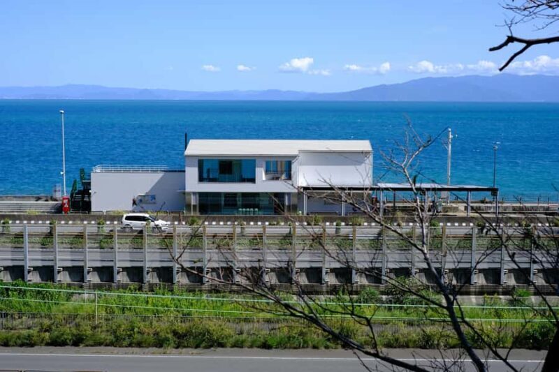 Shizuoka: 10-hour Private Tour & Japanese Tea - Who Will Enjoy This Tour?