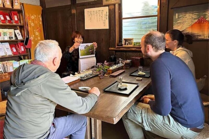 Shizuoka: 6-hour Private Tour & Japanese Tea Farm w/ Vehicle - The Itinerary Breakdown