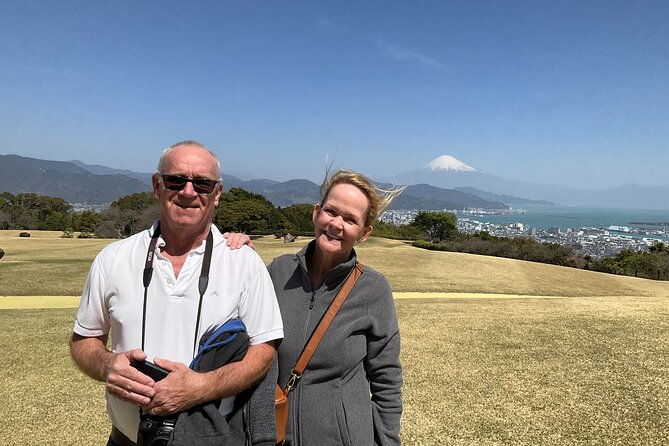 shizuoka-6hr-private-tour-and-japanese-tea-farm-tour-with-vehicle