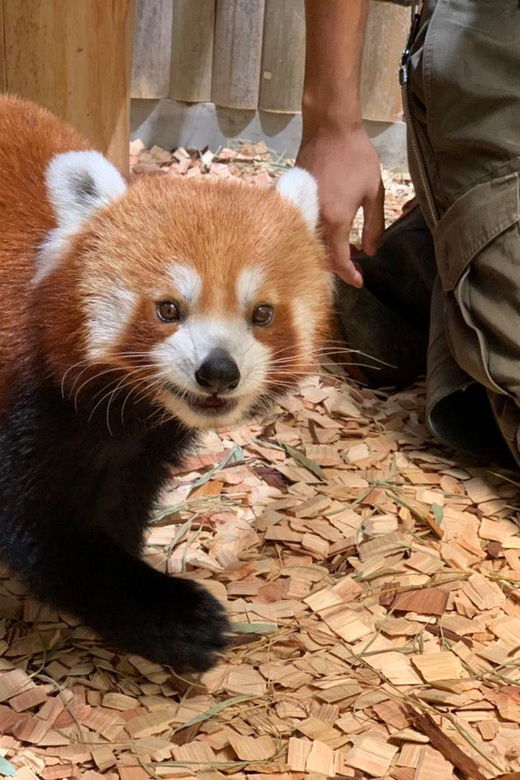 shizuoka-atagawa-tropical-alligator-garden-entrance