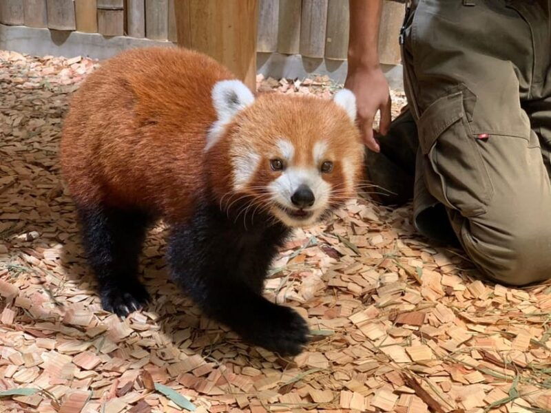 shizuoka-atagawa-tropical-alligator-garden-entrance