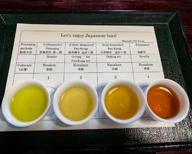 Shizuoka: Japanese Tea Tour with Tasting and Tea Making - Key Points