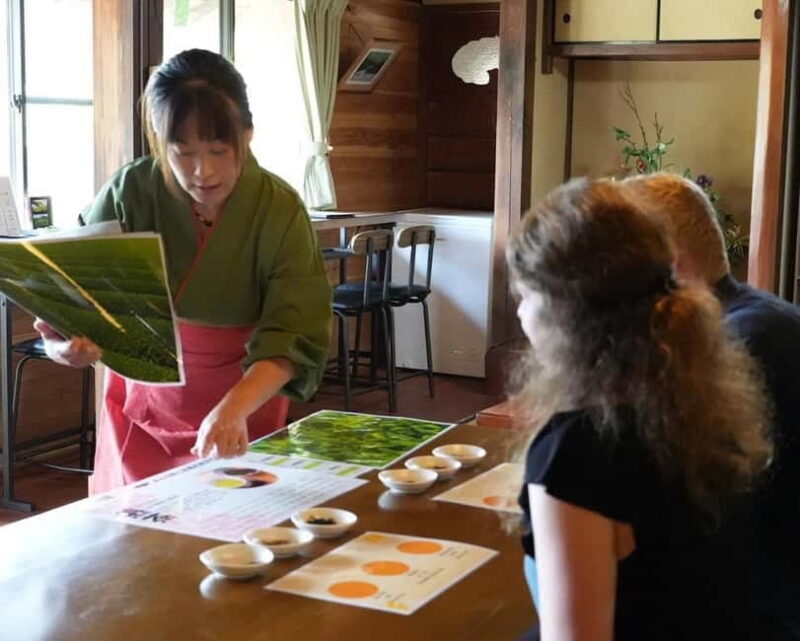 Shizuoka: Japanese Tea Tour with Tasting and Tea Making - Final Thoughts