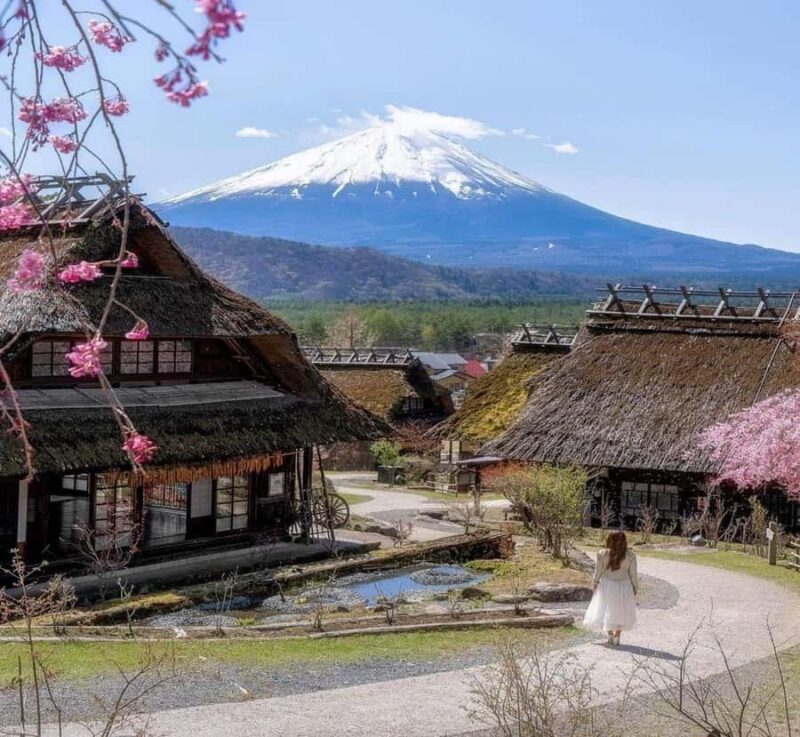 Shizuoka: Mount Fuji Private Full-Day customised Tour - An Authentic and Flexible Way to see Mount Fuji