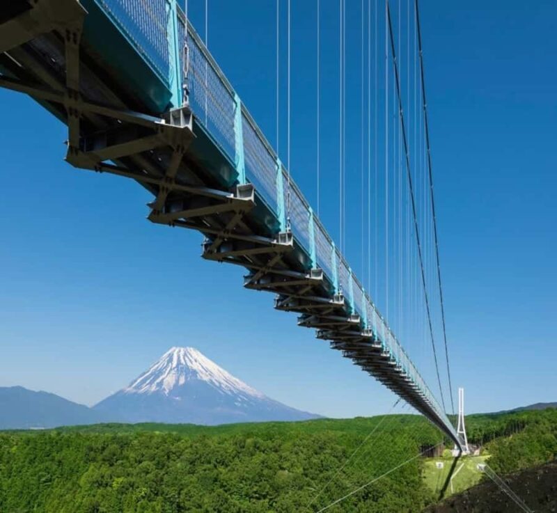Shizuoka: Mount Fuji Private Full-Day customised Tour - Practical Details and Value