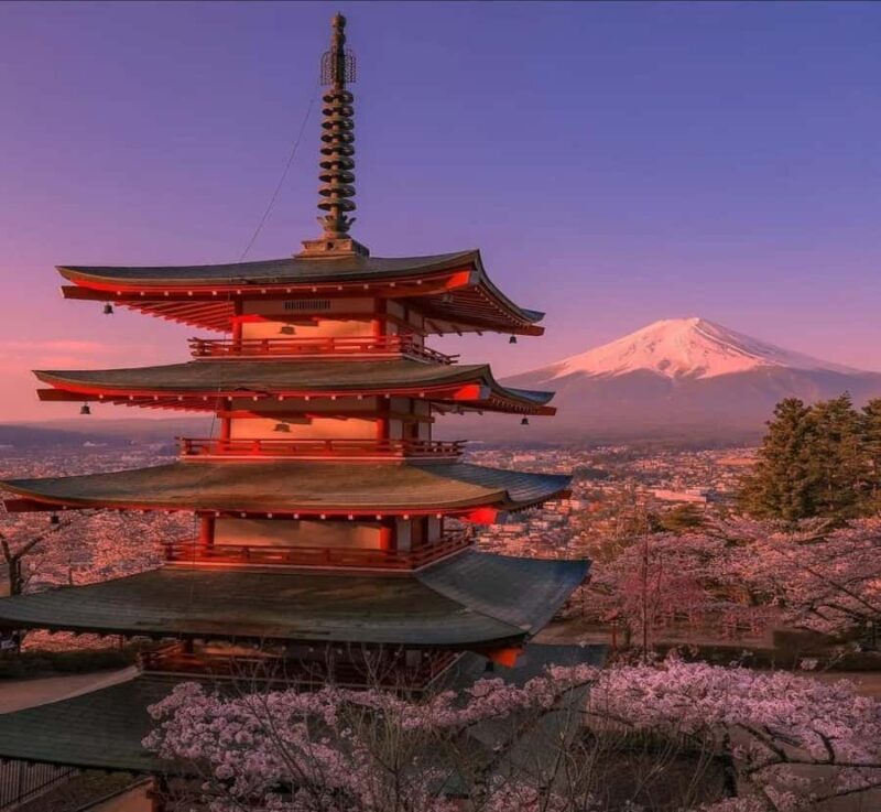 Shizuoka: Mount Fuji Private Full-Day Scenic Tour - Key Points