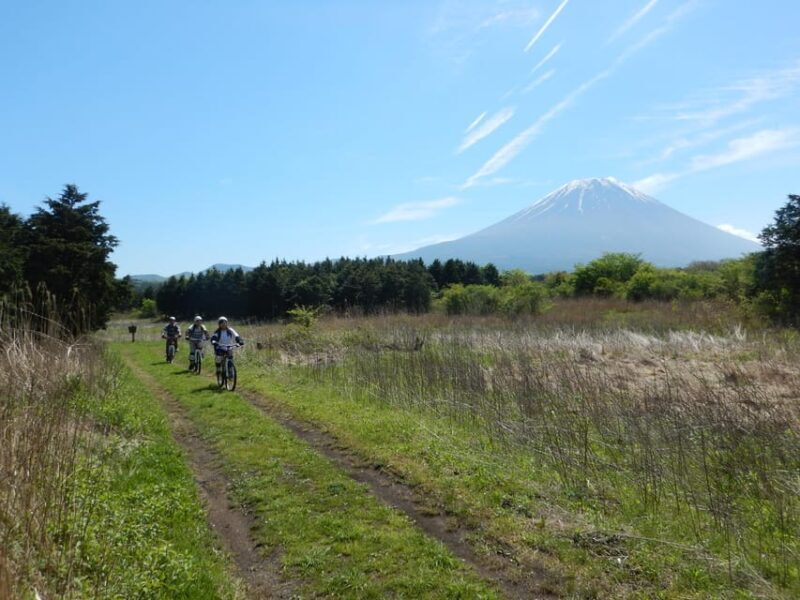 Shizuoka : Private Adventure E-bike Tour around Mt Fuji - What’s Included and the Value