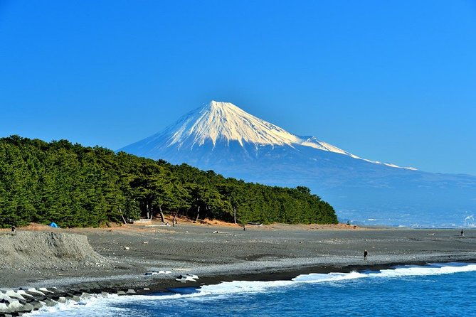 shizuoka-shimizu-mt-fuji-view-6-hr-private-tour-guide-only