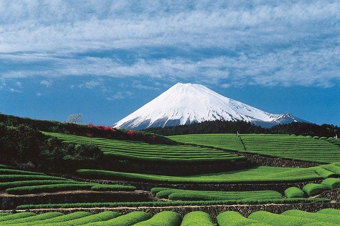 shizuoka-shimizu-mt-fuji-view-6-hr-private-tour-guide-only