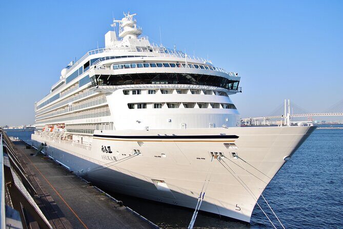 Shizuoka: Shimizu Port Food & Bar Hopping Tour - What Is the Shimizu Port Food & Bar Hopping Tour?