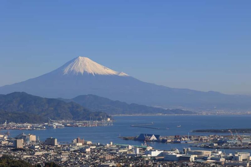 Shizuoka: Shimizu Port Food & Bar Hopping Tour - An In-Depth Look at the Shimizu Port Food & Bar Hopping Tour