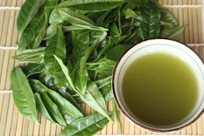 shizuoka-tea-picking-private-experience