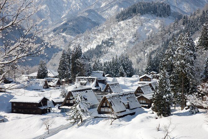 Sho Time Gokayama Private Car Custom Tour - Key Points