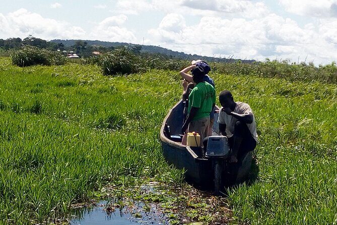 Shoebill stock tracking experience at Mabamba - Key Points