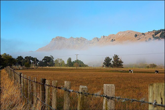Shore Excursion: 4-Hour Discover Hawkes Bay and Napier Tour - The Guides and Commentary