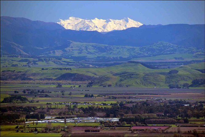 Shore Excursion: 4-Hour Discover Hawkes Bay and Napier Tour - Final Thoughts: Who Will Love This?