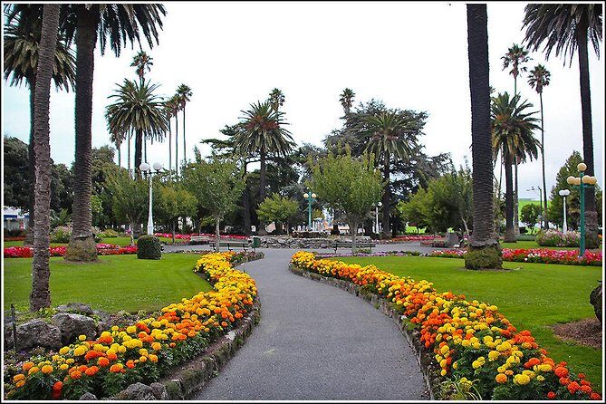 Shore Excursion: 4-Hour Discover Hawkes Bay and Napier Tour - FAQ