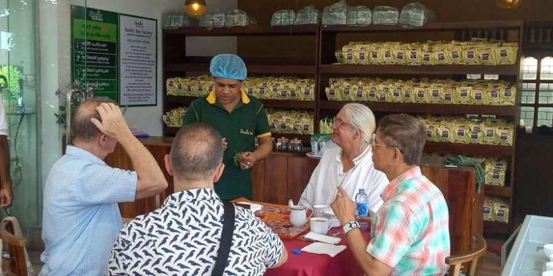 shore-excursion-colombo-highlight-tour-from-passenger-pier