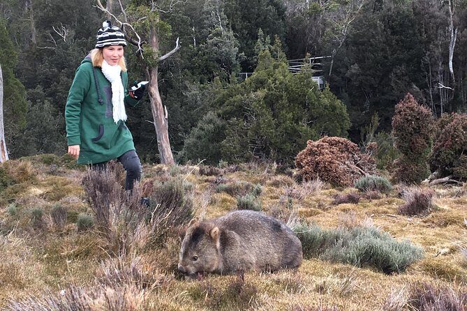 Shore Excursion - Cradle Mountain Shuttle Bus from Burnie - The Itinerary Breakdown: What You Can Expect