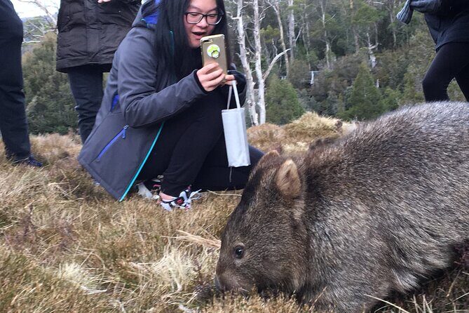 Shore Excursion - Cradle Mountain Shuttle Bus from Burnie - Weather and Clothing Tips