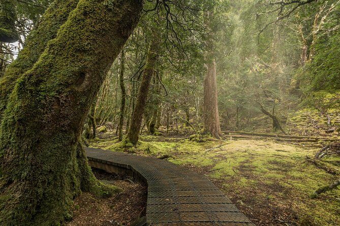 Shore Excursion - Cradle Mountain Shuttle Bus from Burnie - Final Thoughts: Who Should Book This Tour?