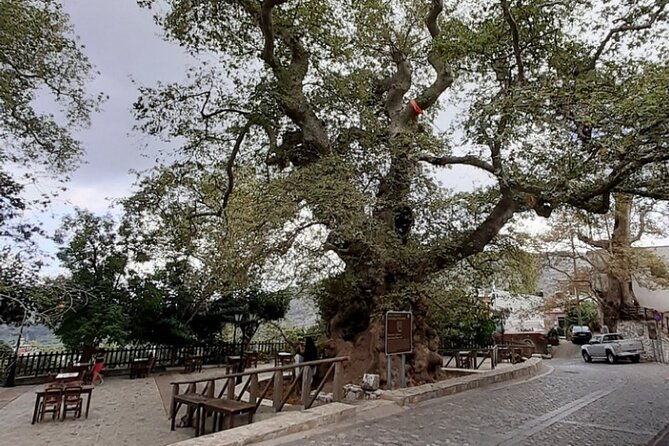shore-excursion-crete-cave-of-zeus-palace-of-knossos-villages