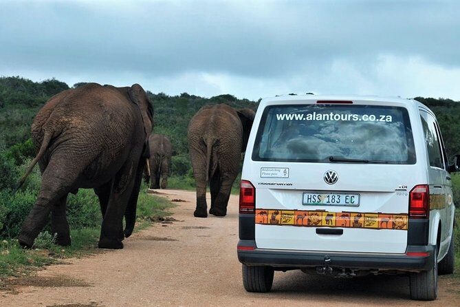 Shore Excursion Cruise Ships Port Elizabeth, Addo Elephant Park - FAQ