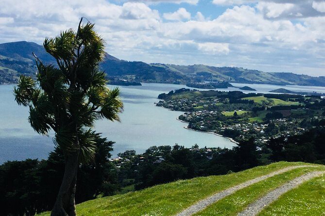 Shore Excursion: Dunedin City, Otago Peninsula, Castle Gardens & Olveston Tour - Who Will Love This Tour?