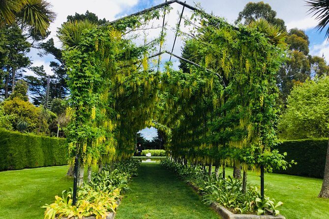 Shore Excursion: Dunedin City, Otago Peninsula, Castle Gardens & Olveston Tour - The Sum Up