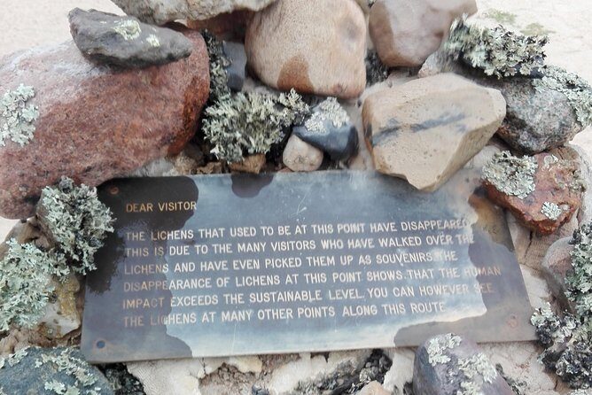 Shore Excursion - Flamingos ,Dune7,Welwitschia, Moonlandscape,Oasis,Swakopmund. - Final Thoughts